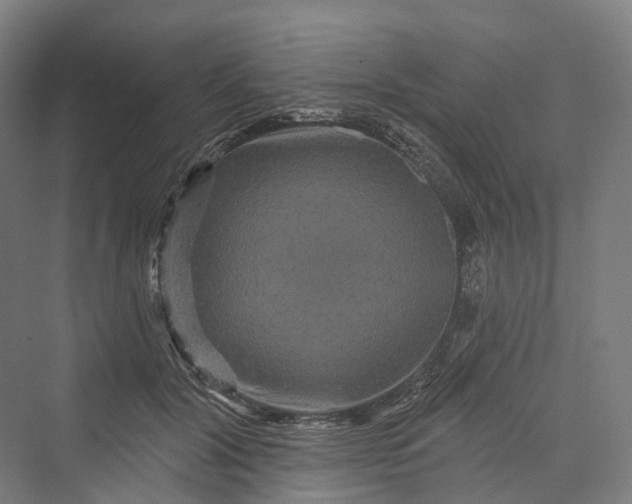 X0000069790604200606021415