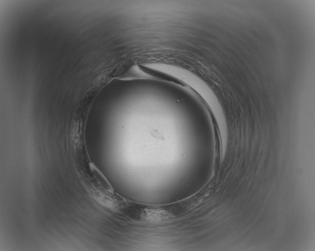 X0000069790605200606021415