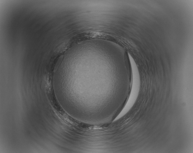 X0000069790607200606021415