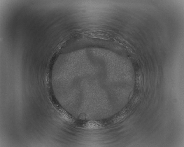 X0000069790608200606021415