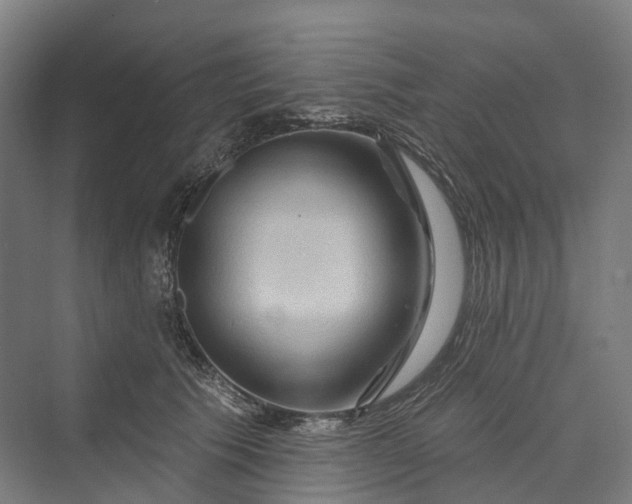 X0000069790609200606021415