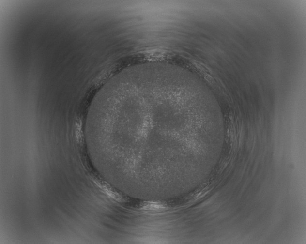 X0000069790610200606021415