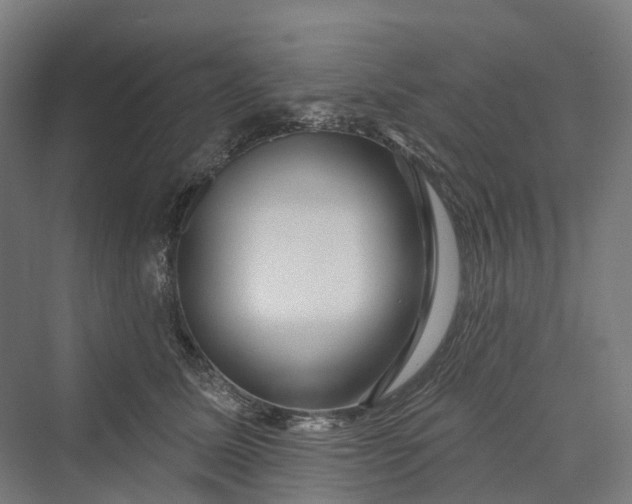 X0000069790611200606021415