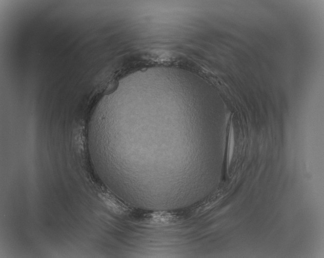 X0000069790612200606021415