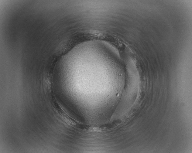 X0000069790613200606021415