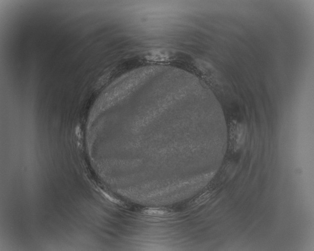 X0000069790614200606021415