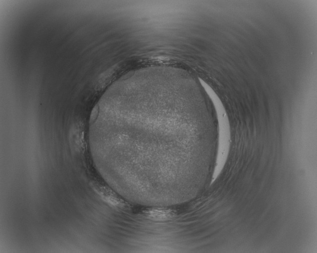 X0000069790615200606021415