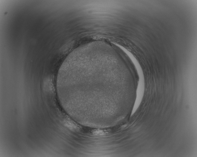 X0000069790616200606021415