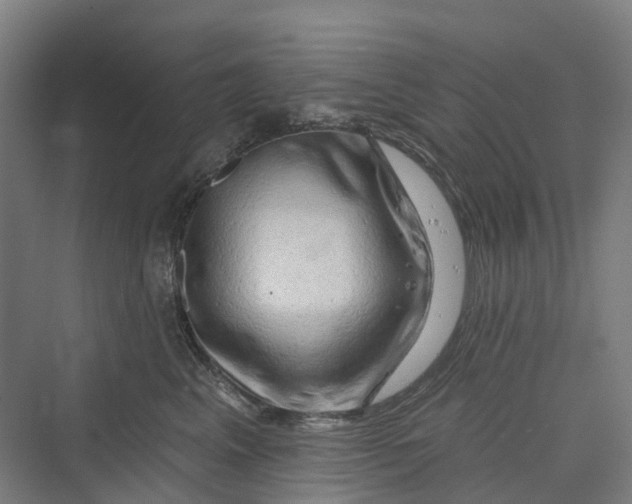 X0000069790617200606021415