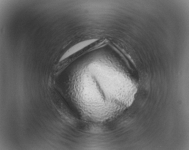 X0000069790618200606021415