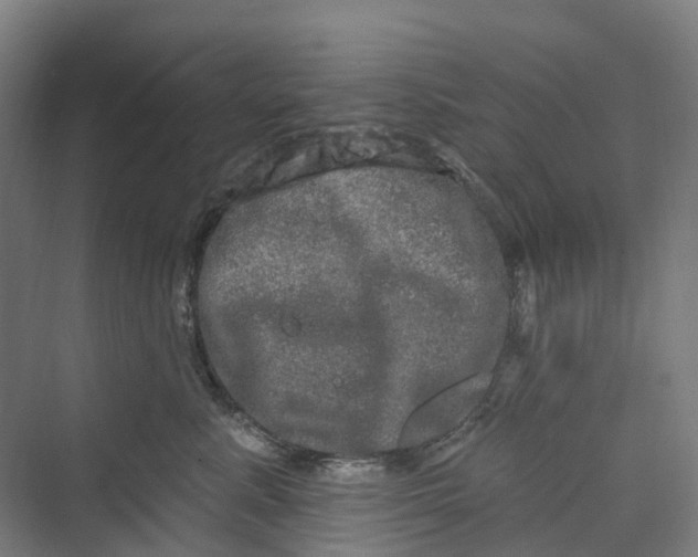 X0000069790619200606021415