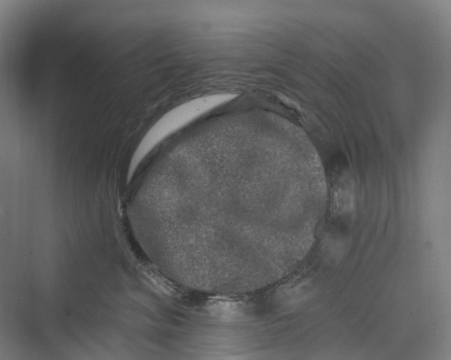 X0000069790620200606021415