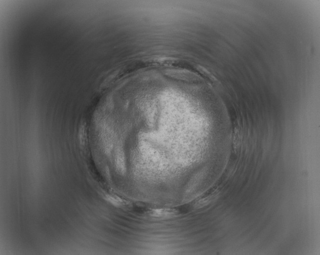 X0000069790623200606021415