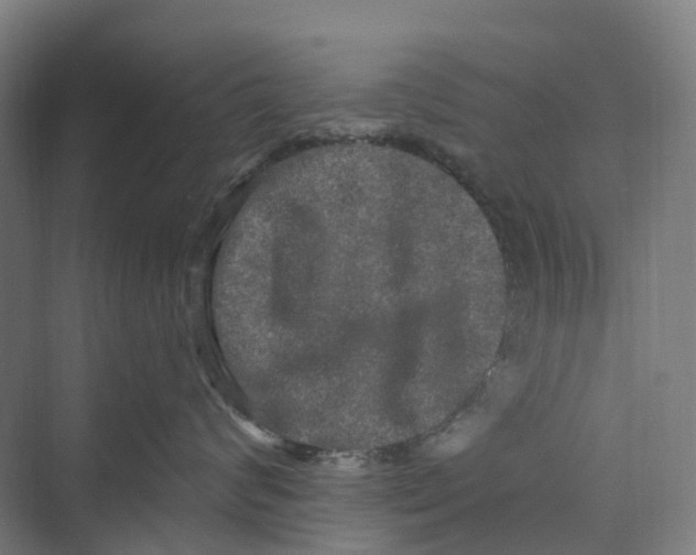 X0000069790624200606021415