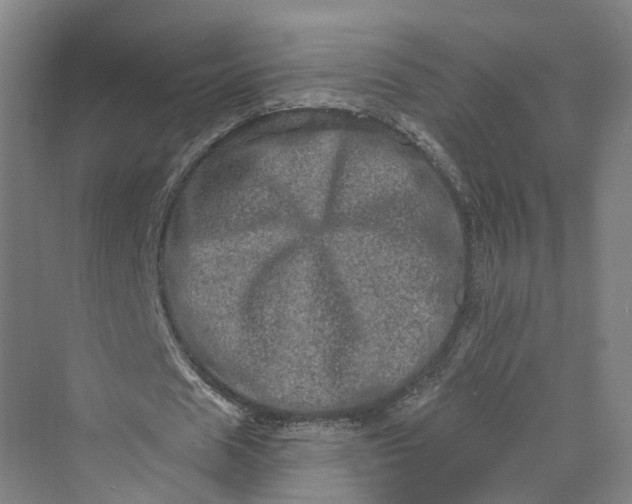 X0000069790625200606021414