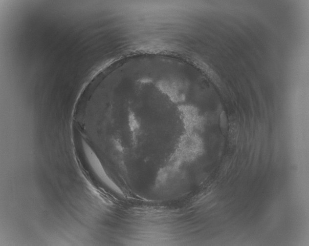 X0000069790626200606021414