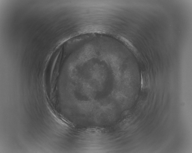 X0000069790627200606021414