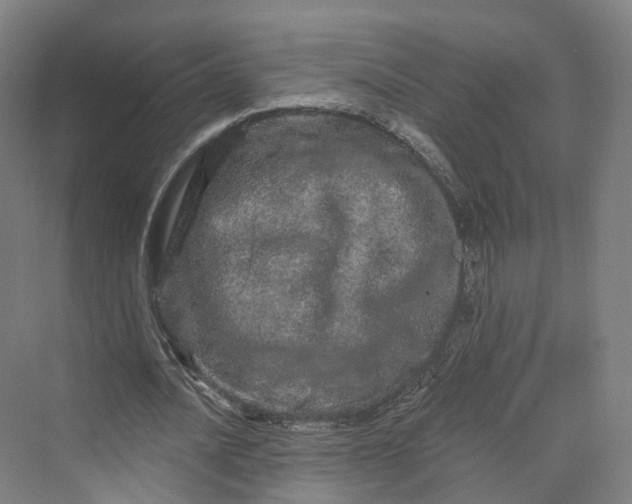 X0000069790628200606021414