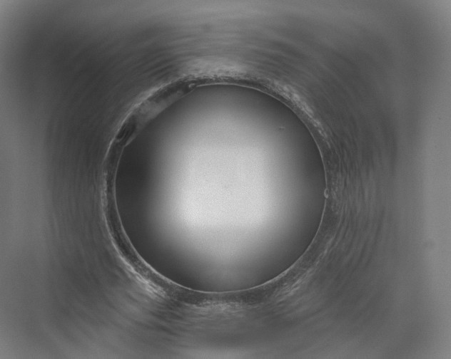 X0000069790629200606021414