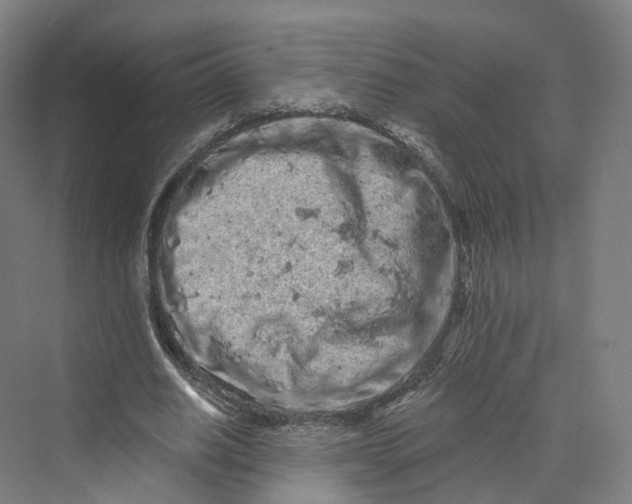 X0000069790630200606021414