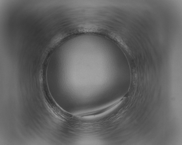 X0000069790631200606021414