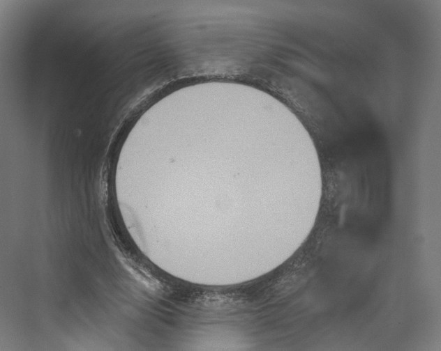 X0000069790632200606021414