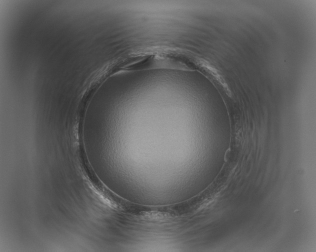 X0000069790633200606021414