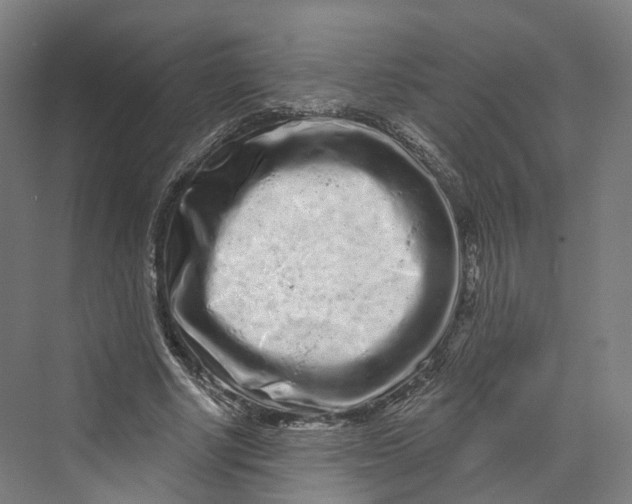 X0000069790634200606021414