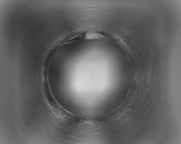 X0000069790635200606021414