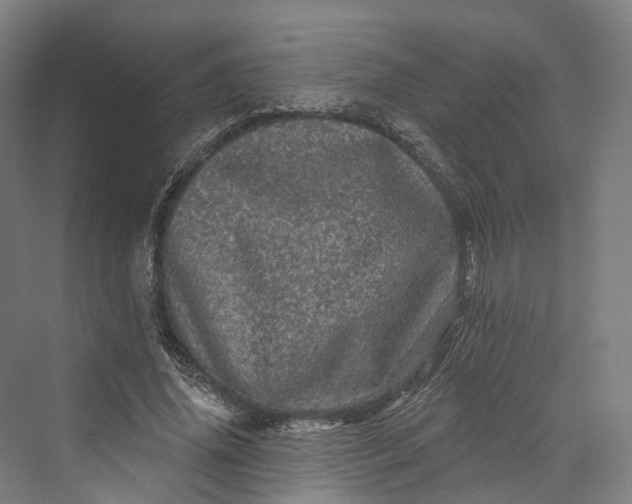 X0000069790636200606021414