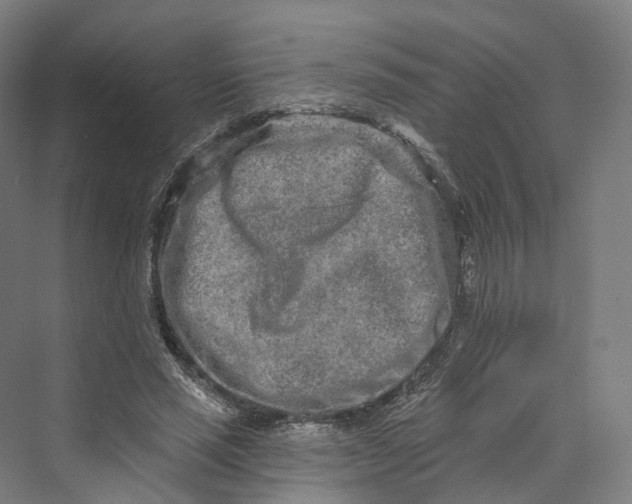 X0000069790637200606021414