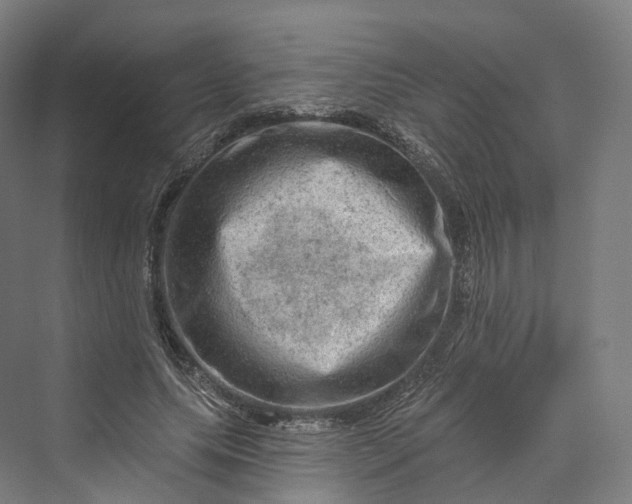 X0000069790639200606021414