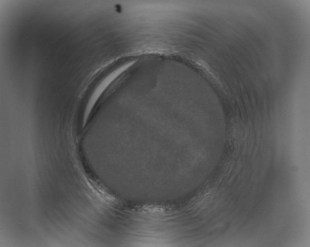 X0000069790640200606021414