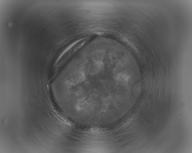 X0000069790641200606021414