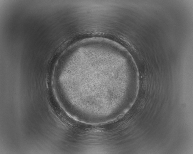 X0000069790643200606021414