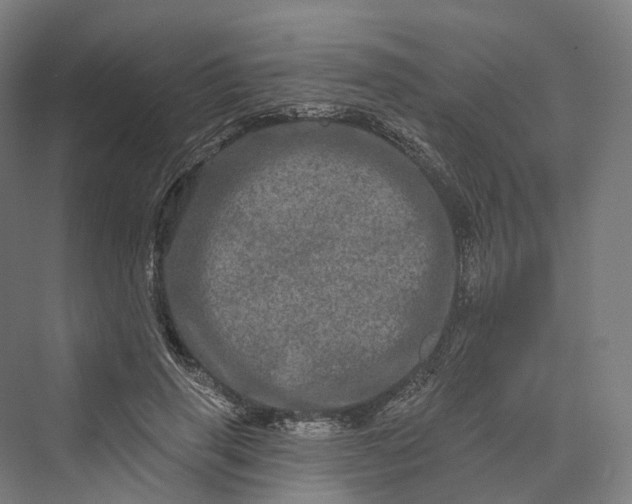 X0000069790645200606021414