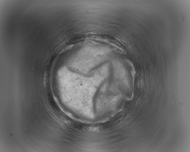 X0000069790647200606021414