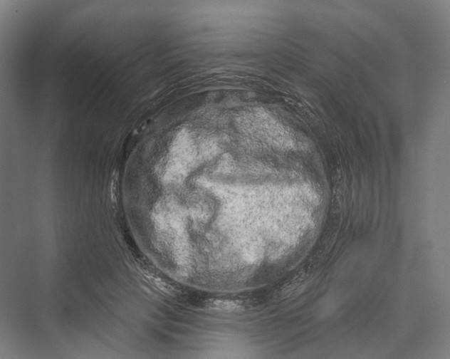 X0000069790649200606021414