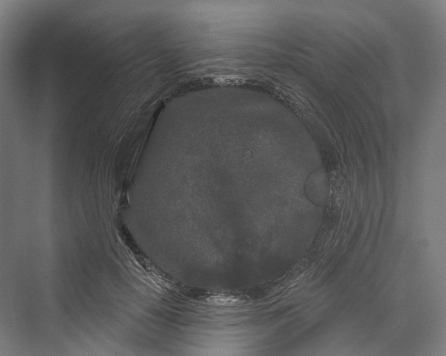 X0000069790650200606021414