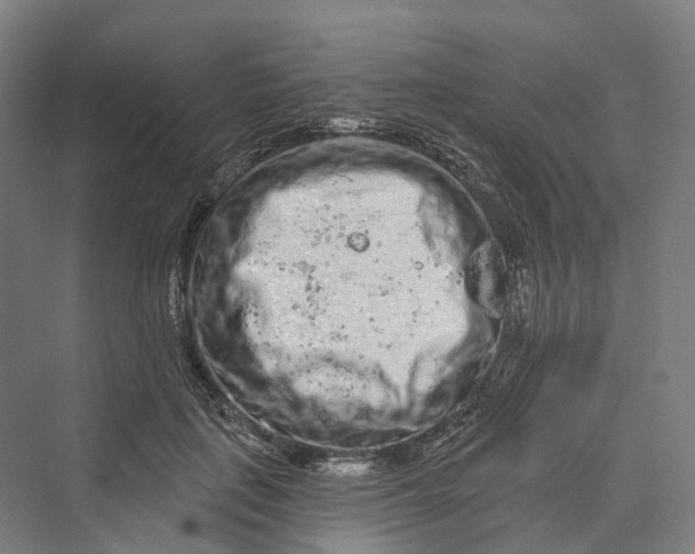 X0000069790651200606021414