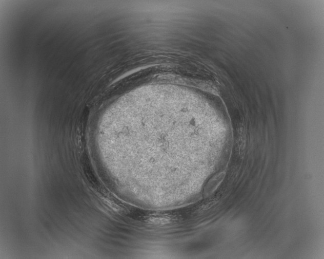 X0000069790653200606021414