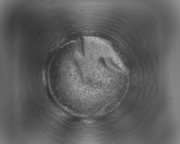 X0000069790654200606021414