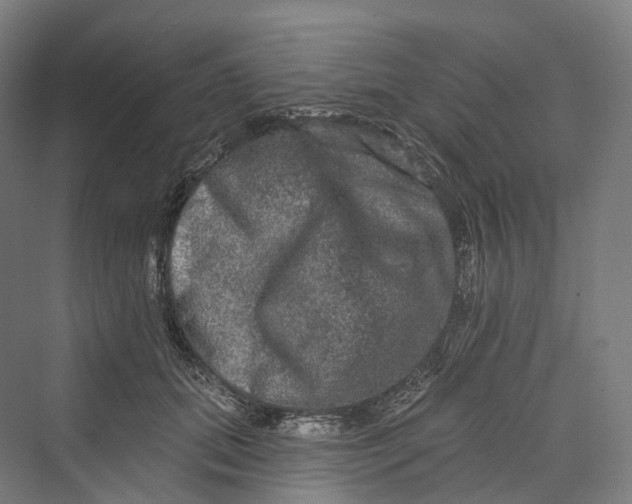 X0000069790655200606021414