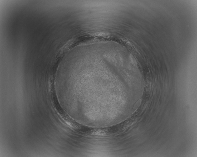 X0000069790656200606021414