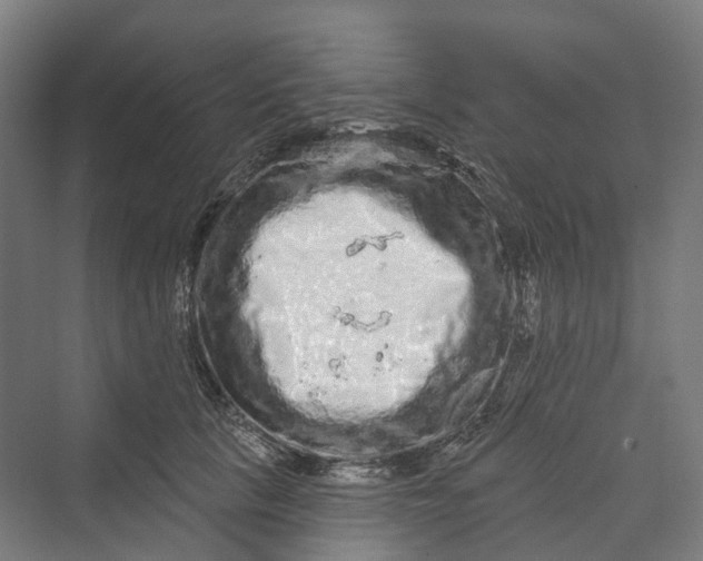 X0000069790657200606021414