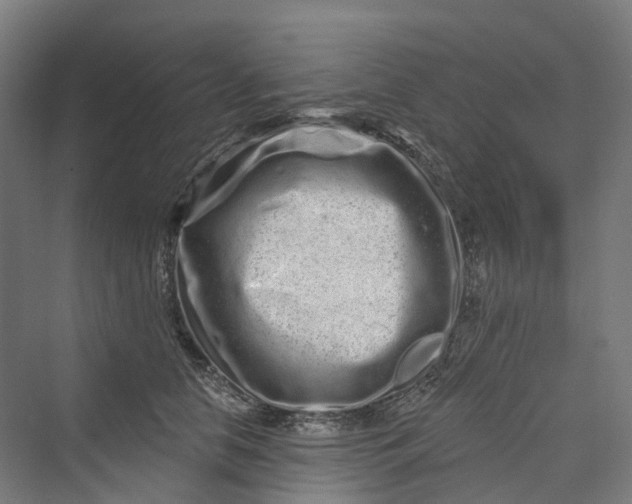 X0000069790658200606021414