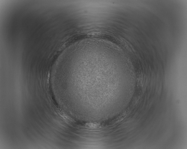 X0000069790660200606021414