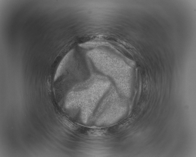 X0000069790661200606021414