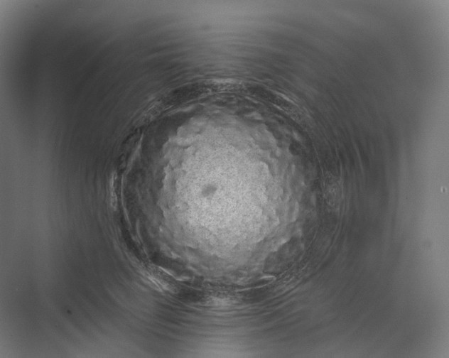 X0000069790662200606021414