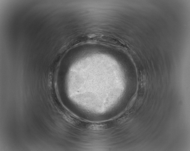 X0000069790664200606021414